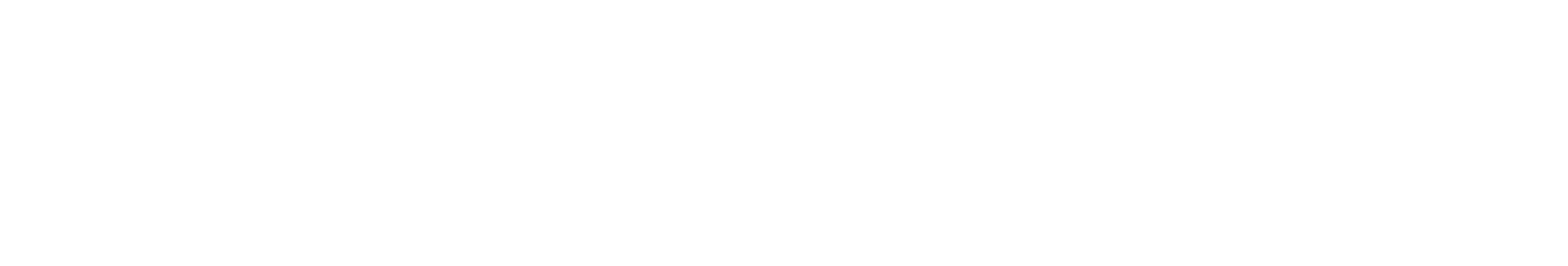 Alpine Ski Center